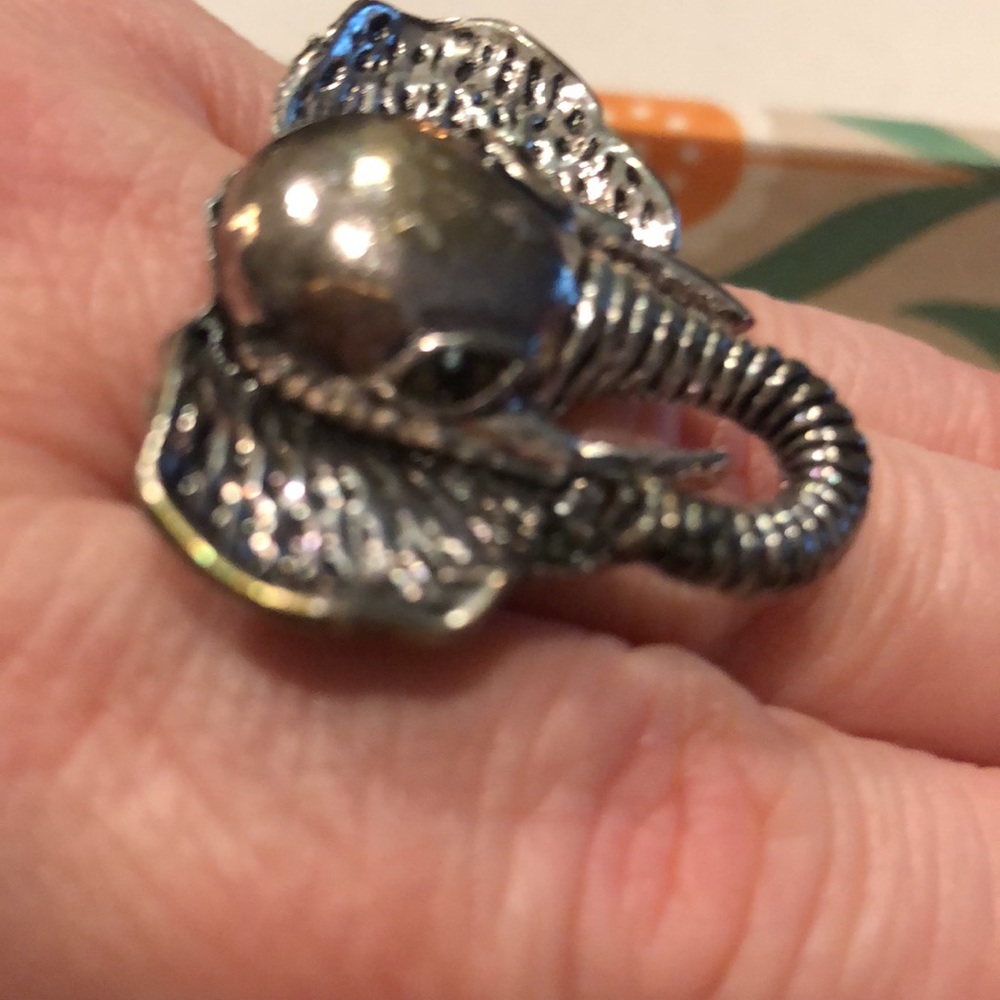 Elephant Ring - Picture 5 of 8